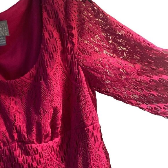 Pre Owned Women’s Rabbit Rabbit Rabbit Lacey Dress Sz 15W Classic Casual Style - Picture 2 of 11